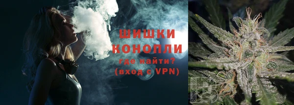 дмт Заводоуковск