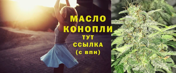 дмт Заводоуковск